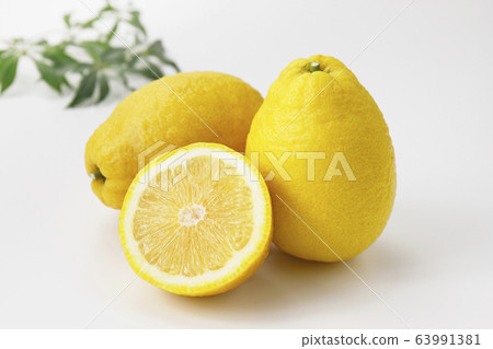 Yuge Hyokan Hyoukan Yuge Hyokan Hyoukan 63991381