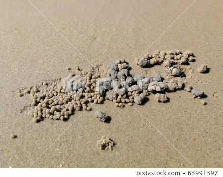 Beach Sand texture. Sandy sea for background. Beach Sand texture. Sandy sea for background. 63991397