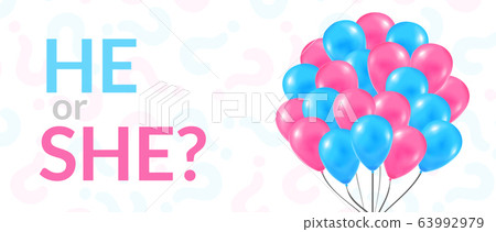 He Or She Party Poster Gender Reveal Stock Illustration He Or She Party Poster Gender Reveal Stock Illustration
