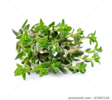 Oregano herbal isolated on white backgrounds. Oregano herbal isolated on white backgrounds. 63993140