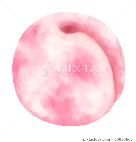 插圖素材桃果實 插圖素材桃果實 63993663