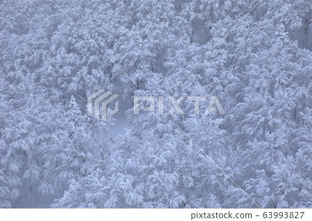 Hakkoda Ropeway 63993827