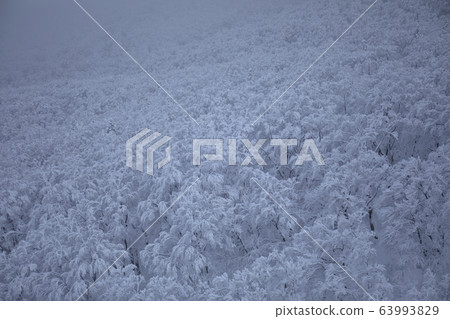 Hakkoda索道 Hakkoda索道 63993829