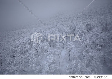 Hakkoda索道 Hakkoda索道 63993830