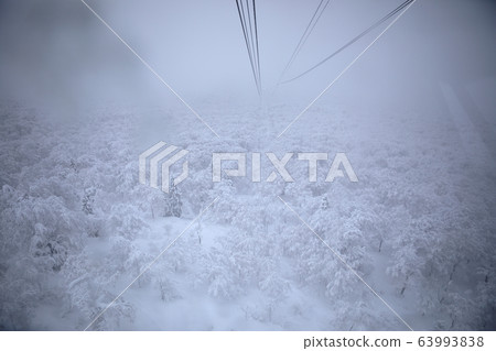 Hakkoda Ropeway Hakkoda Ropeway 63993838