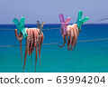 Fresh octopus drying on the rope, Crete island, 63994204