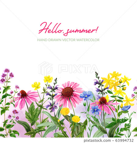 Watercolor seamless border, field and wild herbs 63994732