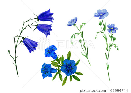 Set of wild field flowers and herbs, watercolor 63994744