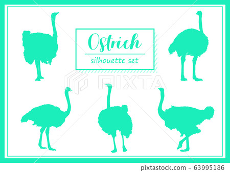 Ostrich silhouette set 63995186