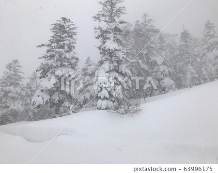 大雪那天，福島縣Urabandai的Grand Deco滑雪勝地 63996175