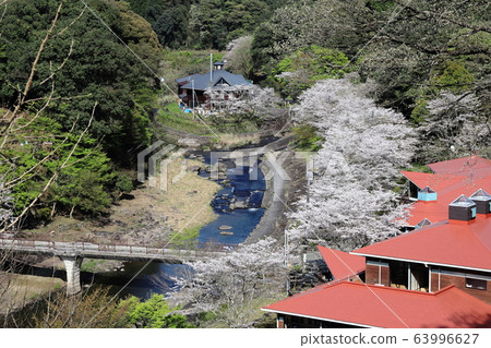 Kannon秋天公園在春天 63996627