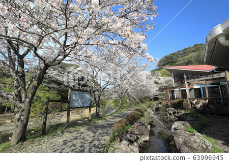 Kannon Falls Park in spring Kannon Falls Park in spring 63996945