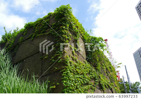 Ishigaki of Ushigome Mitsuke remaining near Iidabashi Station in Tokyo 63997233