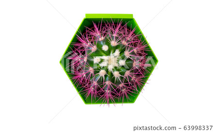 Cactus in a pot similar to a coronavirus molecule. 63998337