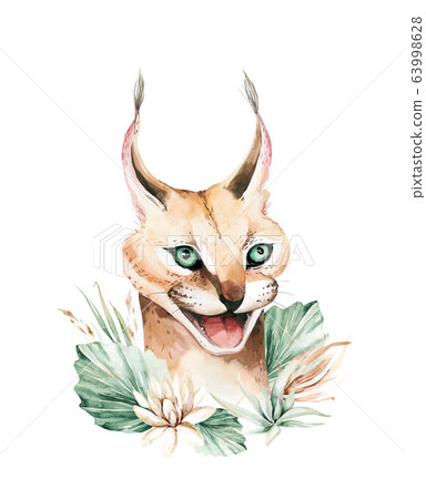Watercolor serval wilf cat portrait thoroughbred Caracal cat. Watercolor painting african savannah animal 63998628