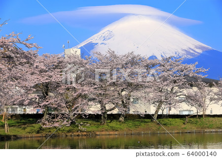 [靜岡縣]富士山，雲霧and繞，櫻花盛開 64000140