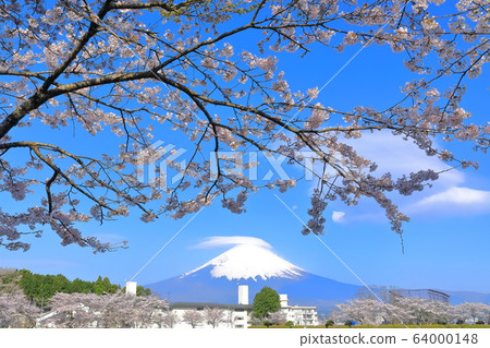 [靜岡縣]富士山，雲霧and繞，櫻花盛開 64000148
