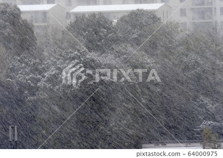 下雪的森林 64000975