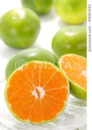 綠色橘子早期切橙切 綠色橘子早期切橙切 64001043