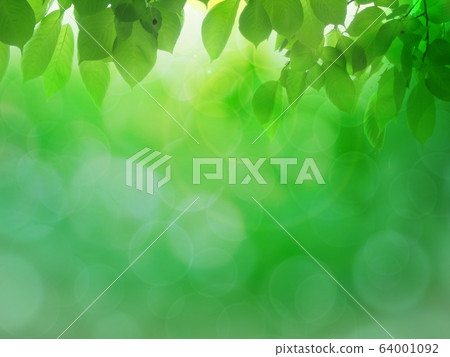 Fresh green Fresh green 64001092