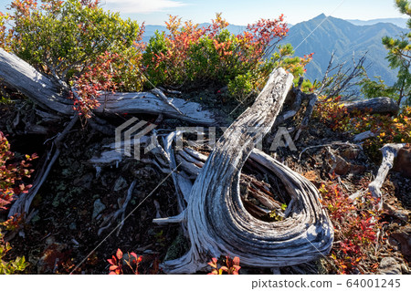 越後山山縱向路上的秋葉和荒澤山的景色 64001245