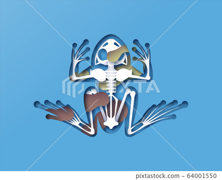 Paper cut frog skeleton x ray with toxic pollution Paper cut frog skeleton x ray with toxic pollution 64001550