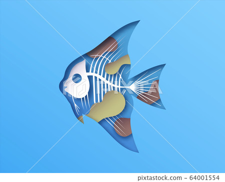 Papercut fish x ray skeleton toxic water pollution Papercut fish x ray skeleton toxic water pollution 64001554