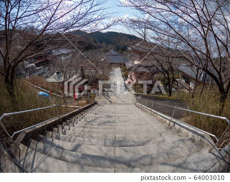 Tsubosaka-ji Daihina曼陀羅 64003010