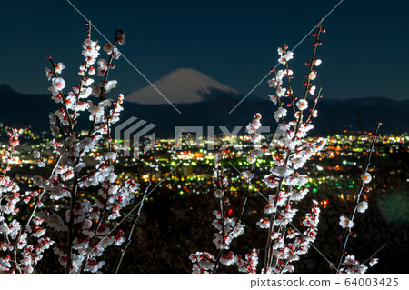 巴林和富士山 巴林和富士山 64003425