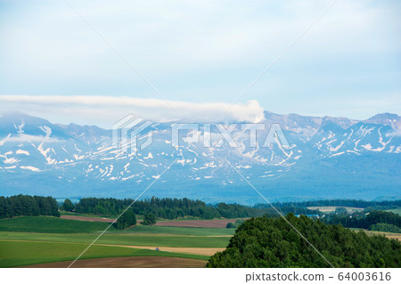 初夏田地種植面積和剩余雪山的美瑛鎮 64003616