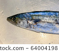 新鮮的鯖魚。 64004198