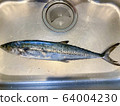新鮮的鯖魚。 64004230