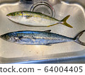 新鮮捕撈的鯡和鯖魚。 64004405