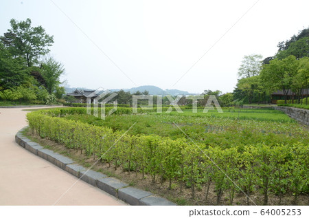 江陵城陽莊內的花園 江陵城陽莊內的花園 64005253