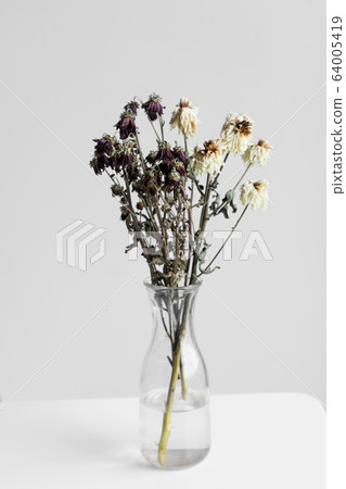 Bouquet of wilted flowers on a white background 64005419
