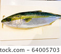 鮮魚yellow。 64005703