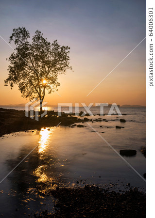 Silhouette tree against sunset at beach, Krabi Silhouette tree against sunset at beach, Krabi 64006301