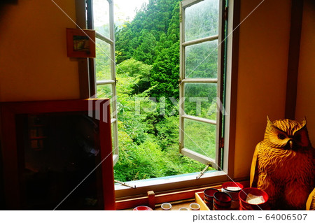 Fresh green outside the window (view from the room) Fresh green outside the window (view from the room) 64006507