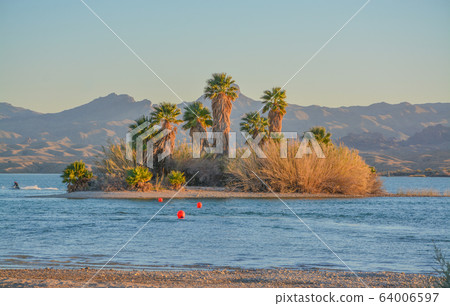 Lake Havasu National Wildlife Refuge on the Colorado River in Mohave County, Arizona USA 64006597