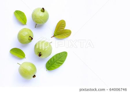 Top view of fresh ripe guava with leaves on white Top view of fresh ripe guava with leaves on white 64006746
