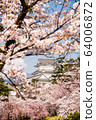 小田原城和櫻花 64006872