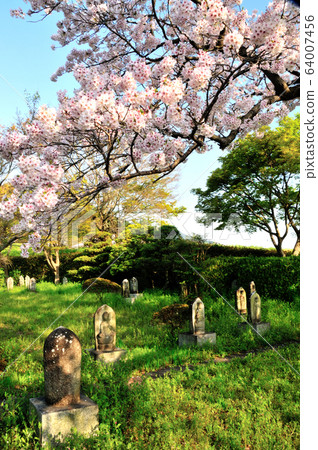 九神寺的33位石佛 九神寺的33位石佛 64007456