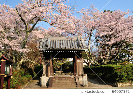 Kuinuji寺門 Kuinuji寺門 64007571