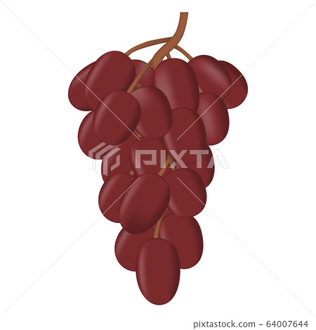 Realistic fresh bunch of grapes  on white 64007644
