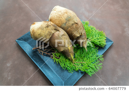 Bamboo shoots with mud Bamboo shoots with mud 64007779