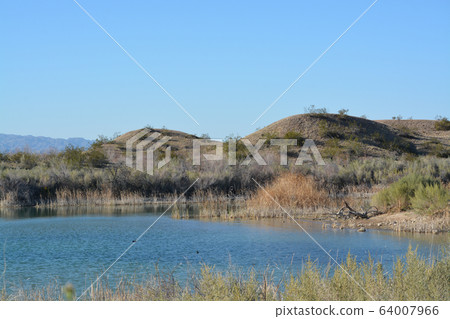 Lake Havasu National Wildlife Refuge on the Colorado River in Mohave County, Arizona USA 64007966