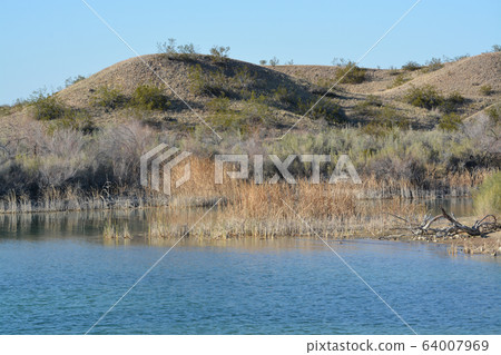 Lake Havasu National Wildlife Refuge on the Colorado River in Mohave County, Arizona USA Lake Havasu National Wildlife Refuge on the Colorado River in Mohave County, Arizona USA 64007969