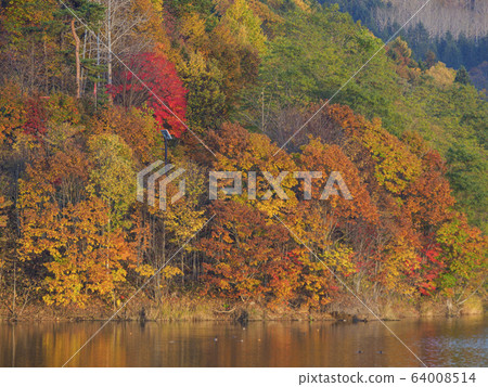 Bright autumn leaves reflected on mountains and lake surface 64008514