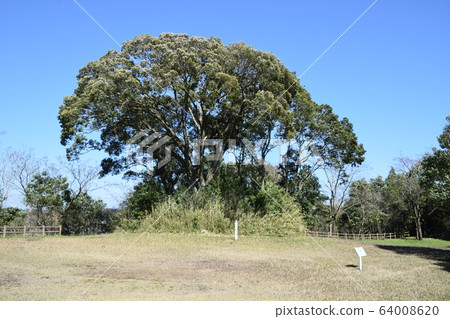 Ikume Tumulus歷史遺址公園19號 64008620