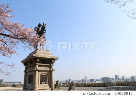 Date Masamune Statue and cherry blossoms Date Masamune Statue and cherry blossoms 64008915